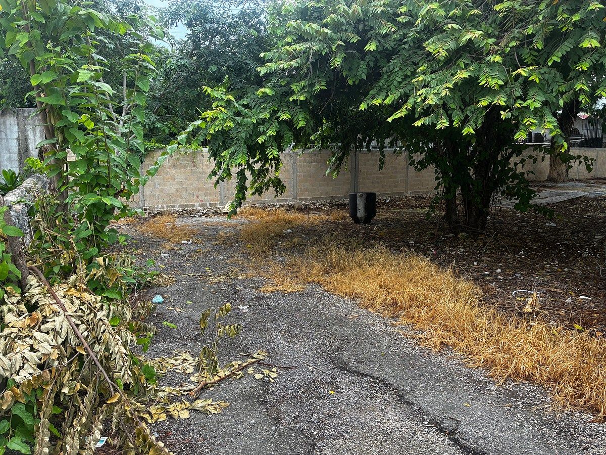 Oficina en Sambula, Mérida, foto 18 de 24