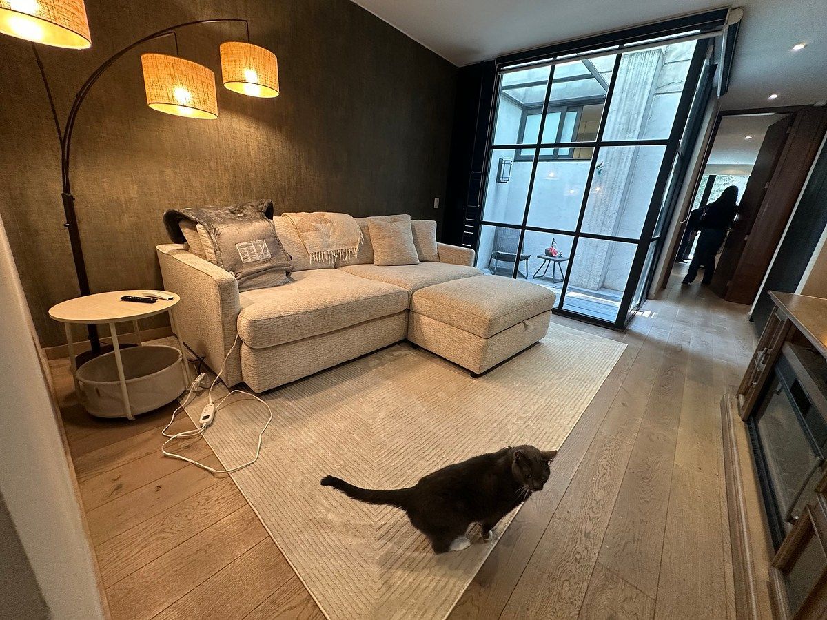 Apartment in Polanco III Sección, Miguel Hidalgo, photo 16 of 31
