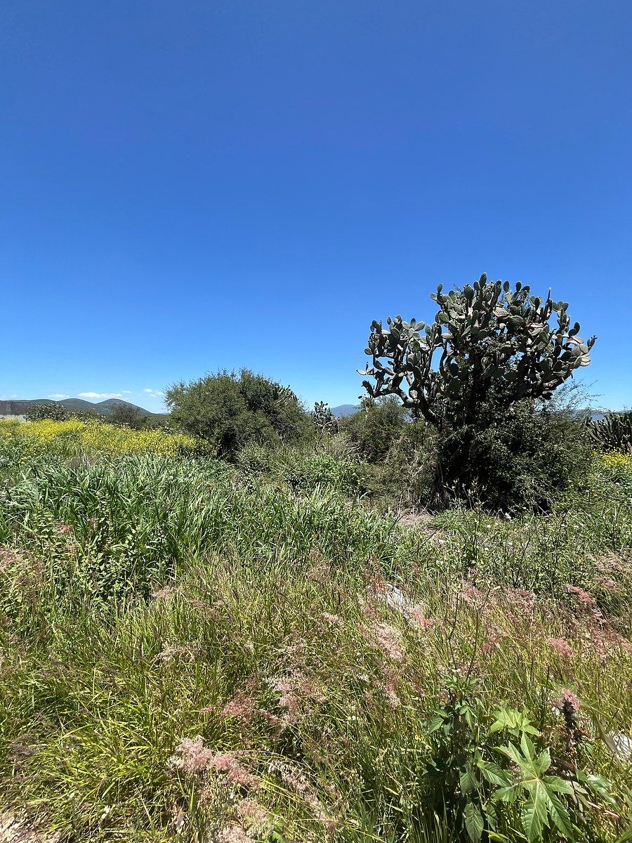 Lote em Zibatá, El Marqués, foto 4 de 24