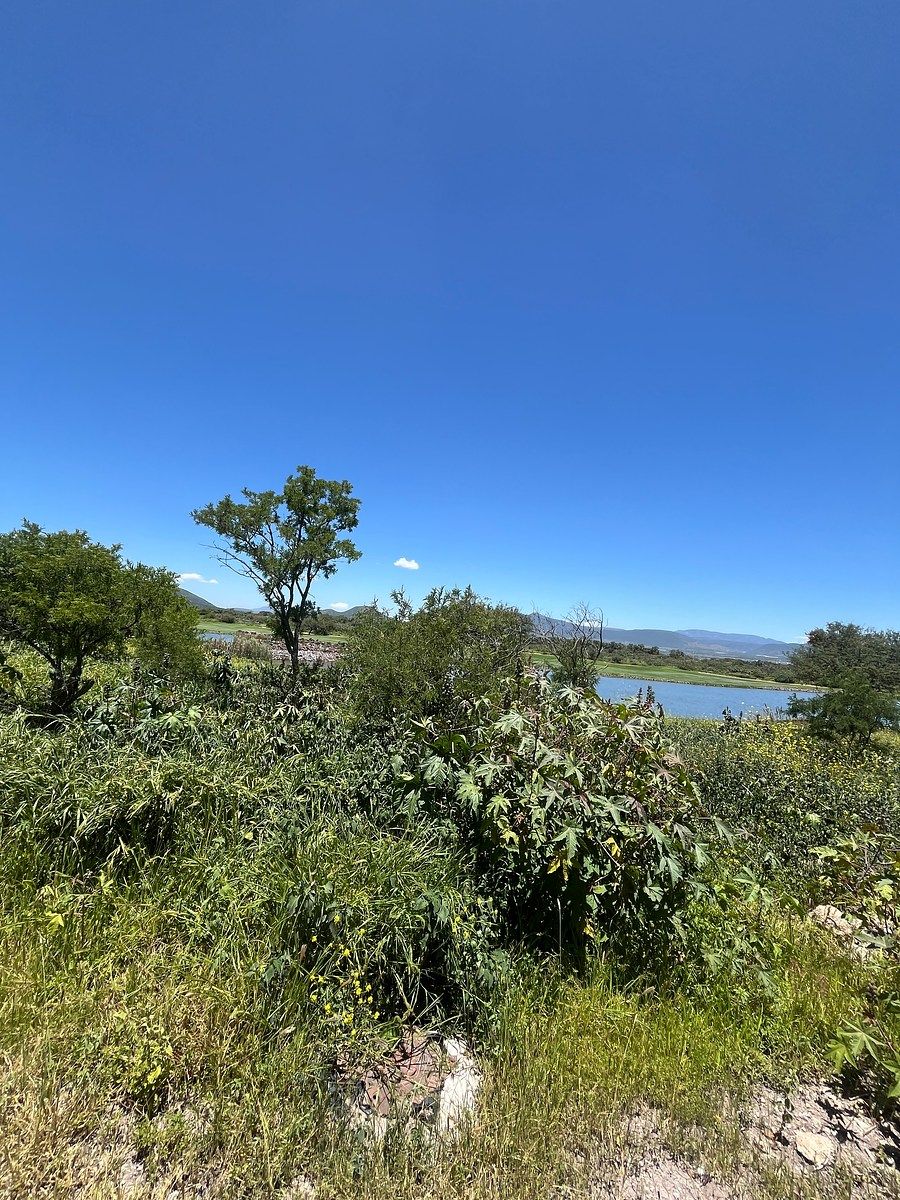 Lote em Zibatá, El Marqués, foto 7 de 24