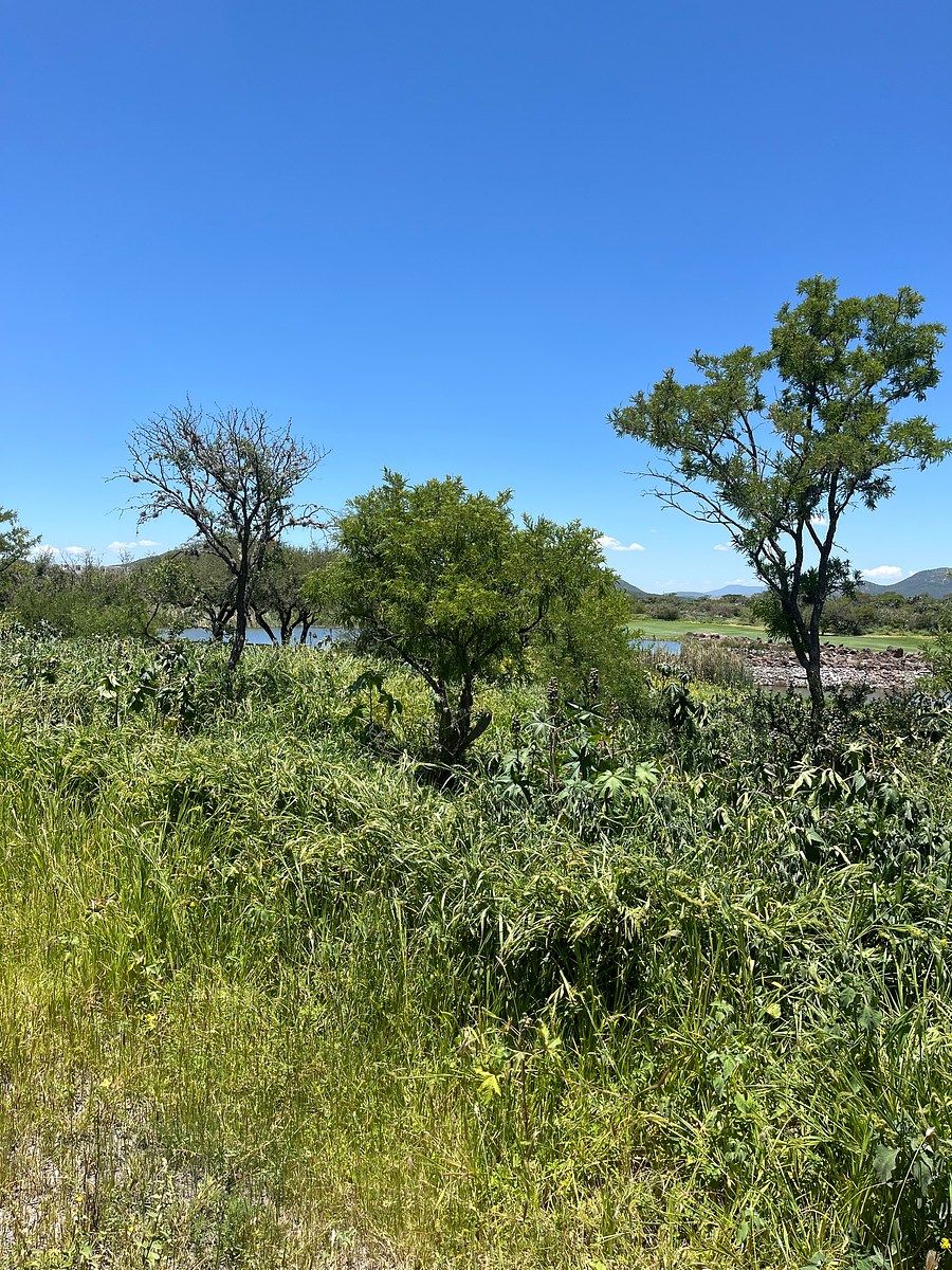 Lote em Zibatá, El Marqués, foto 9 de 24