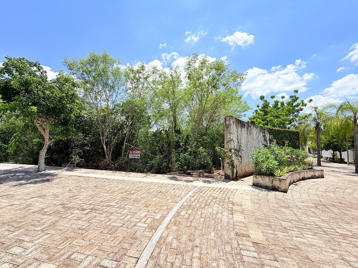 Lot in Temozón Norte, Mérida, photo 3 of 17