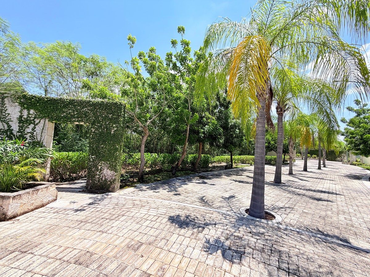 Lot in Temozón Norte, Mérida, photo 5 of 17
