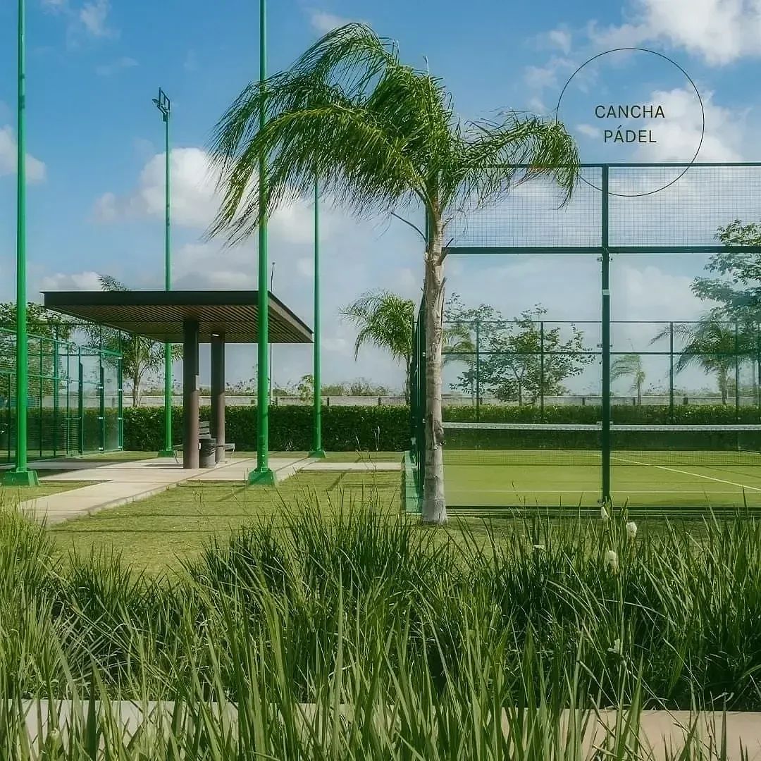 Lot in Temozón Norte, Mérida, photo 15 of 17