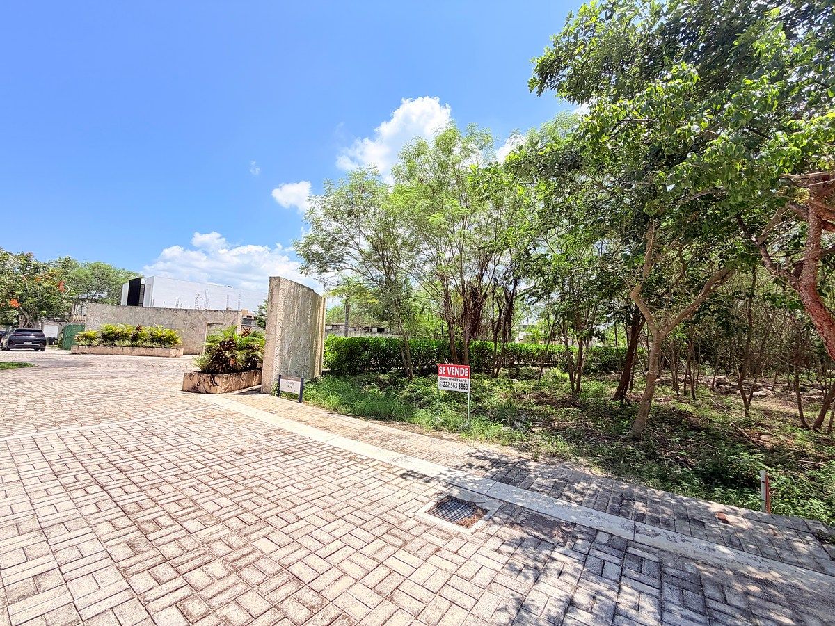 Lote em Temozón Norte, Mérida, foto 3 de 16