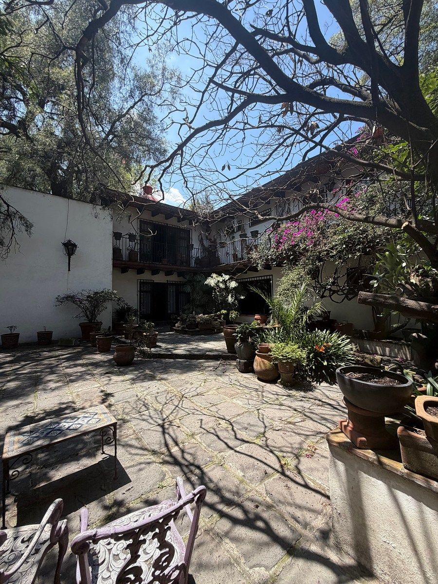 Lot in Loreto, Álvaro Obregón, photo 6 of 17
