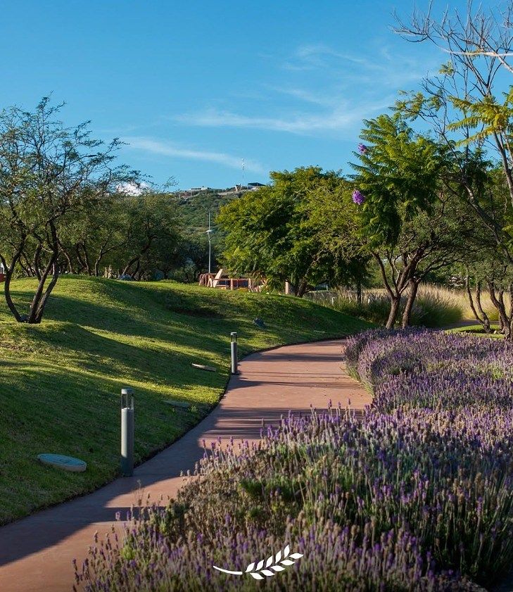 Lot in La Espiga, Querétaro, photo 8 of 19