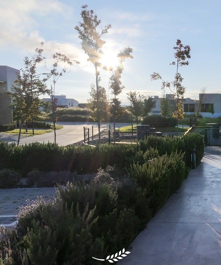 Lot in La Espiga, Querétaro, photo 16 of 19
