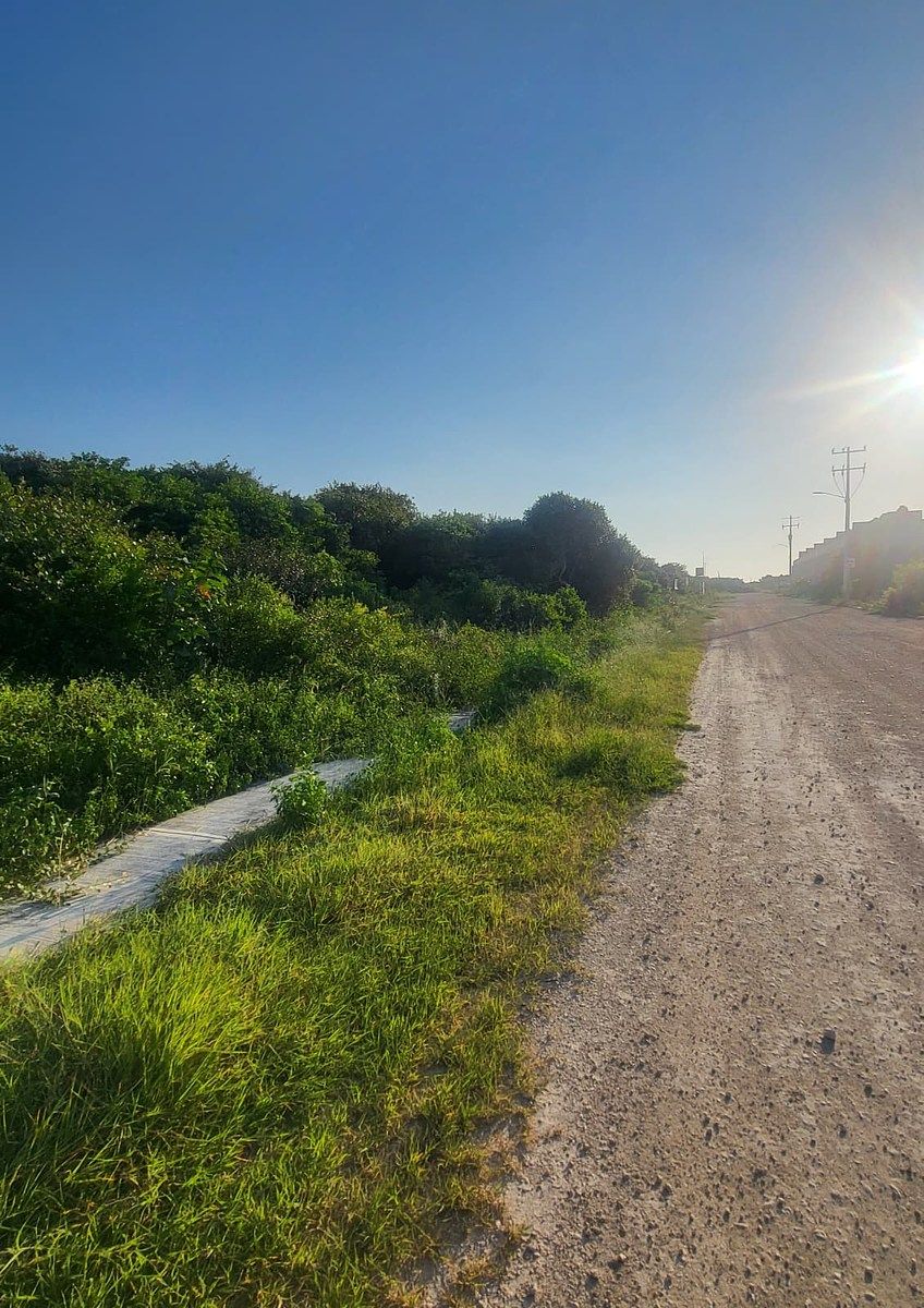 Lot in Chuburna Puerto, Progreso, photo 7 of 7