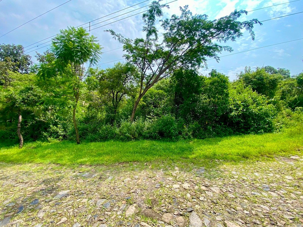 Lote em Fraccionamiento El Roble, El Arenal, foto 7 de 14
