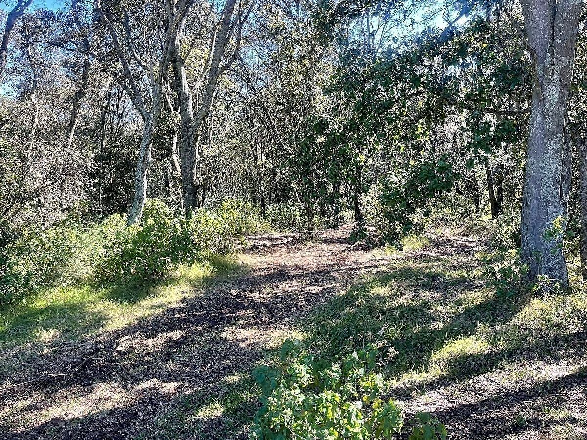 Terreno en San Jeronimo Zacapexco, Villa del Carbón, foto 10 de 17