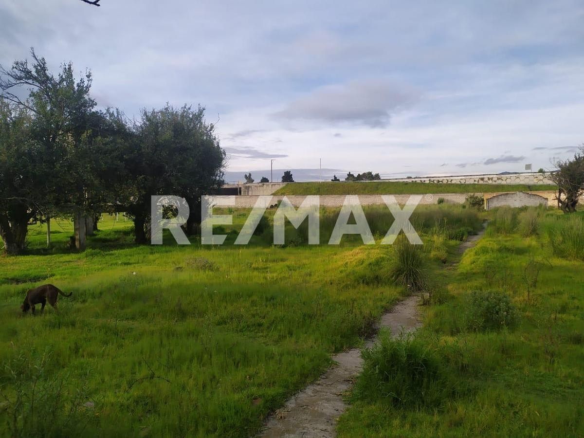 Terreno en Metepec Centro, Metepec, foto 8 de 19