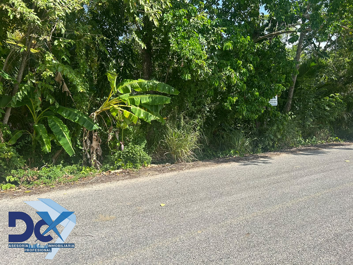 Terreno en Venta Ej Oriente Secc. Hormiguero Paraiso