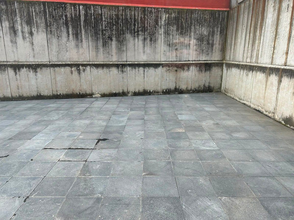 Sala Comercial em La Rosita, Cuajimalpa de Morelos, foto 5 de 12