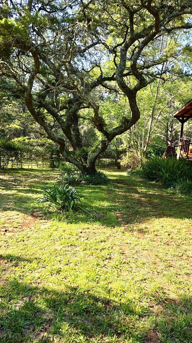 Casa en condominio en Los Espinos, Tapalpa, foto 48 de 50