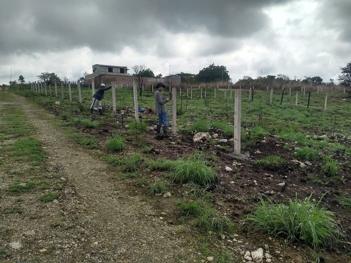 🏡 OPORTUNIDADE DE INVESTIMENTO EM BERRIOZÁBAL! 🌿, foto 1 de 17