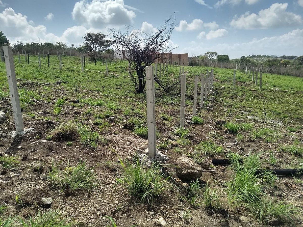 Lote em Bugambilias, Berriozábal, foto 2 de 17