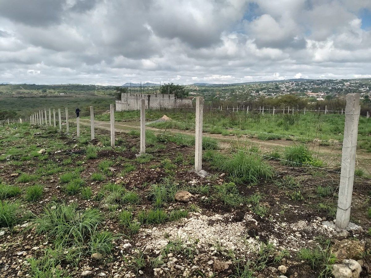 Lote em Bugambilias, Berriozábal, foto 3 de 17