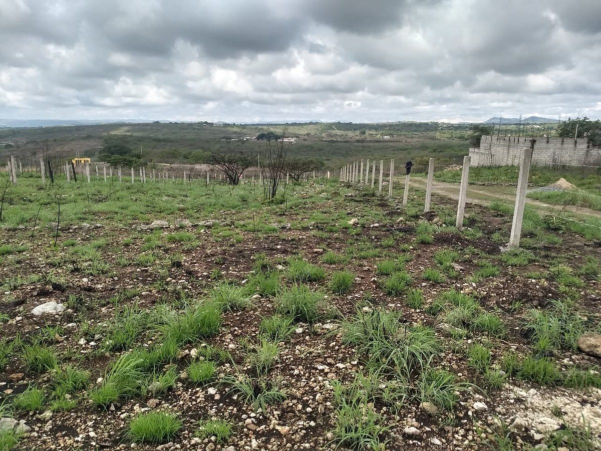 Lote em Bugambilias, Berriozábal, foto 5 de 17