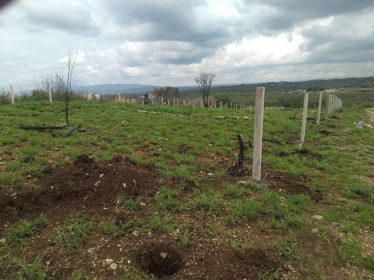 Lote em Bugambilias, Berriozábal, foto 6 de 17