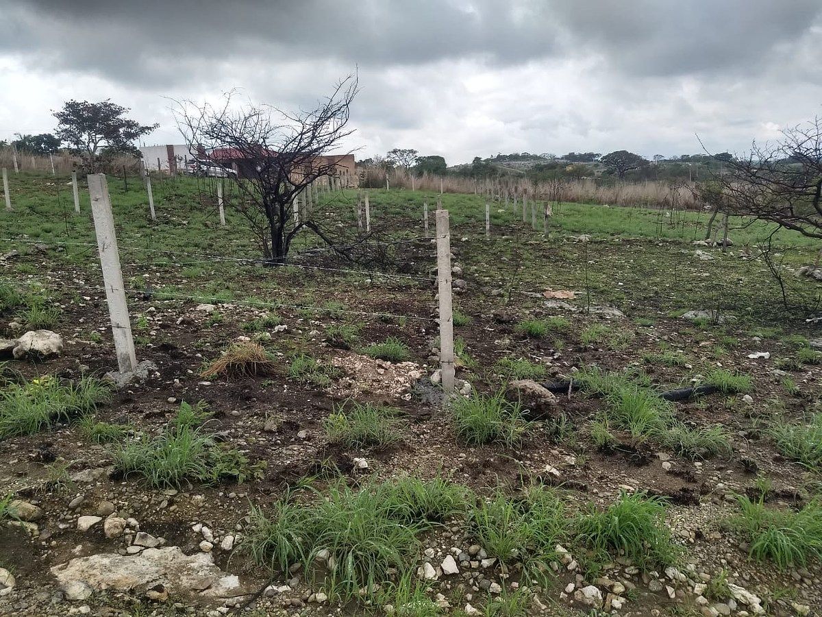 Lote em Bugambilias, Berriozábal, foto 7 de 17