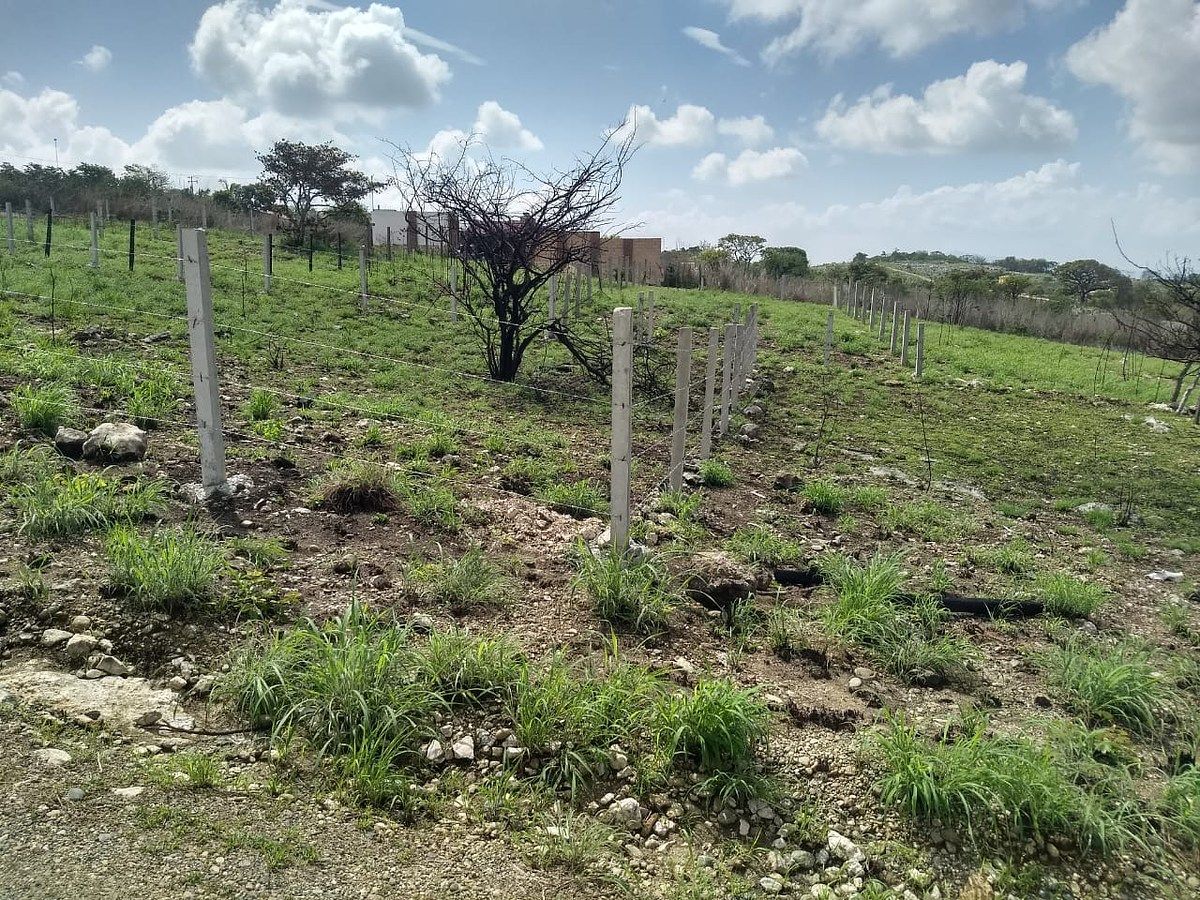 Lote em Bugambilias, Berriozábal, foto 8 de 17