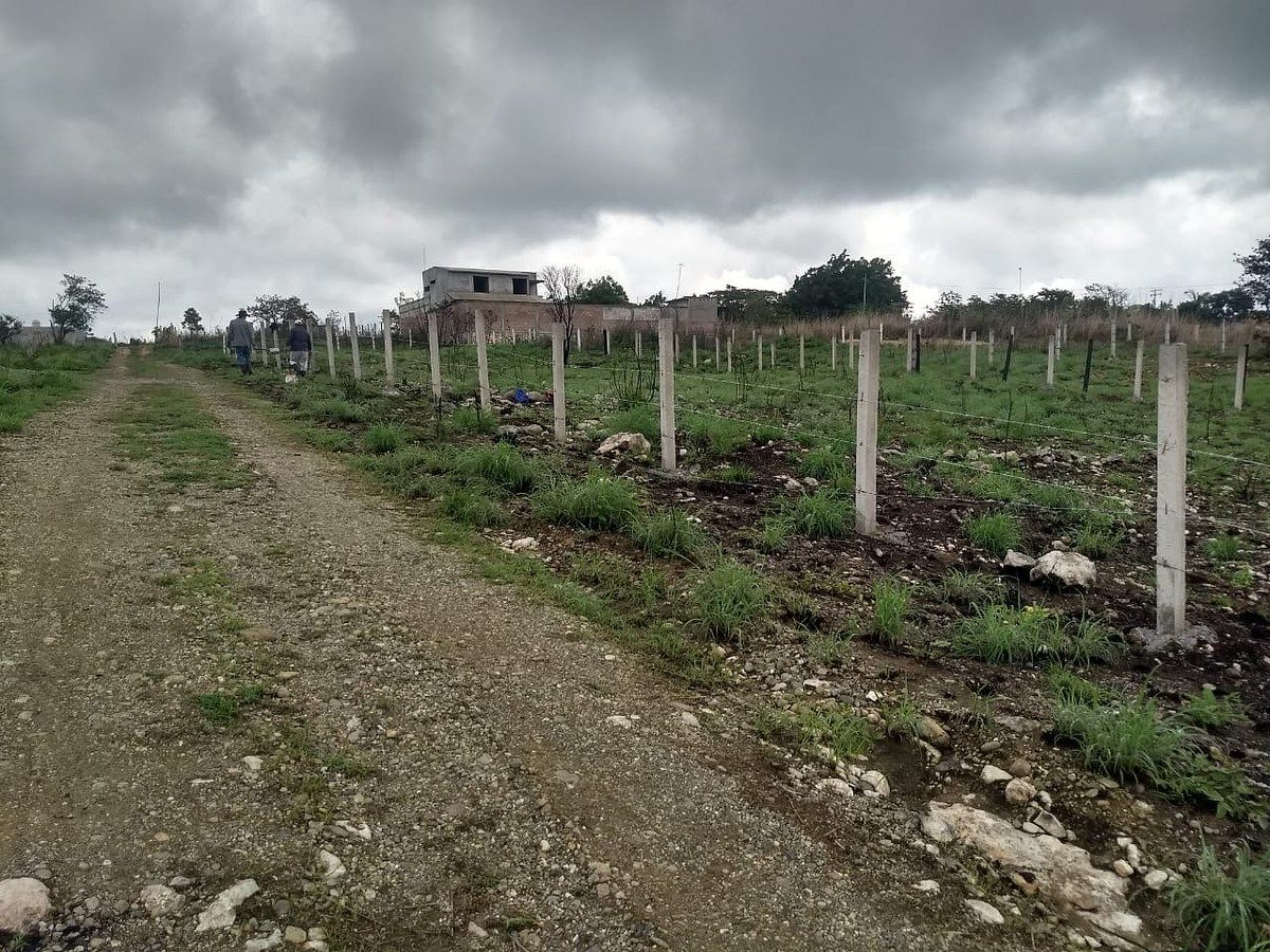 Lote em Bugambilias, Berriozábal, foto 11 de 17