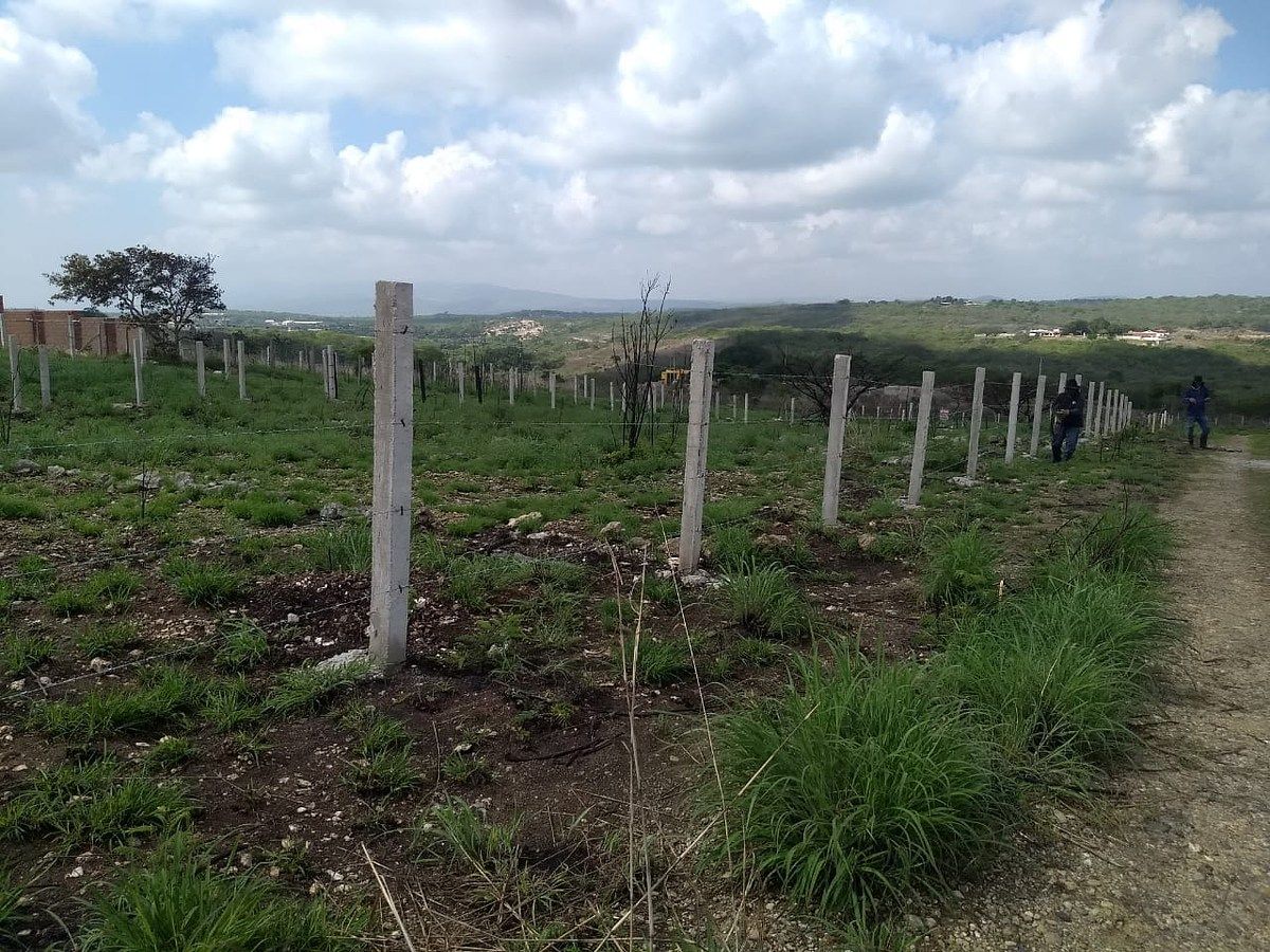 Lote em Bugambilias, Berriozábal, foto 12 de 17