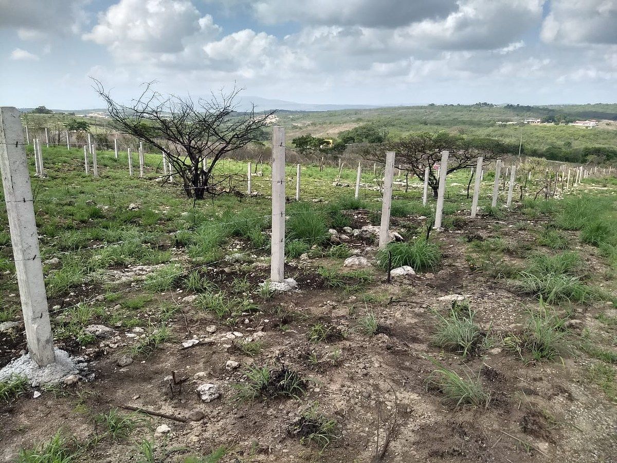 Lote em Bugambilias, Berriozábal, foto 13 de 17