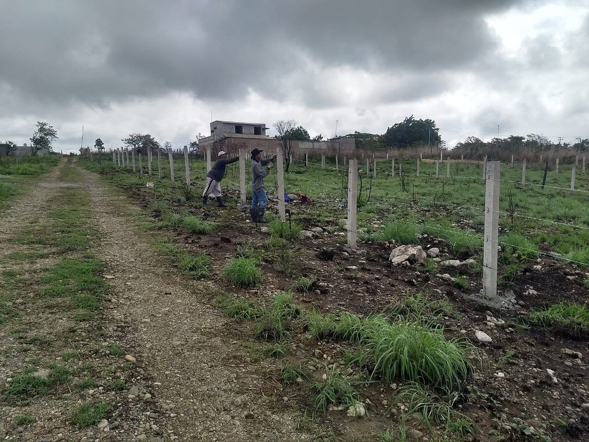 Lote em Bugambilias, Berriozábal, foto 14 de 17