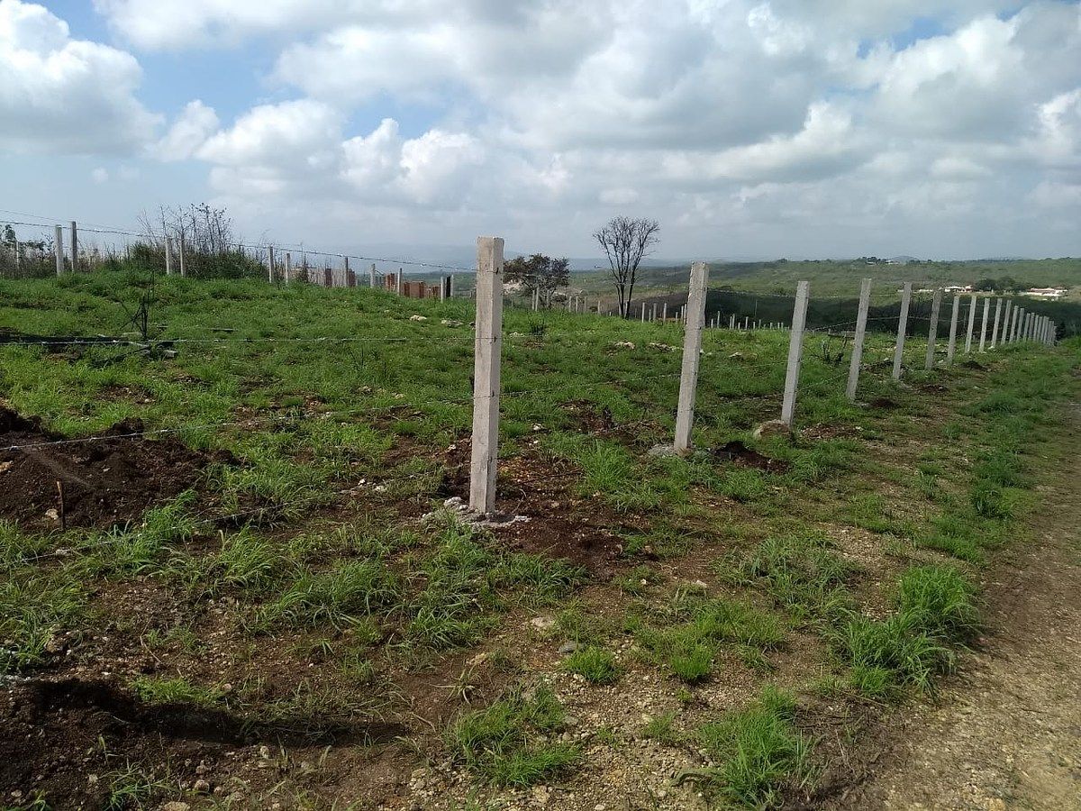 Lote em Bugambilias, Berriozábal, foto 15 de 17
