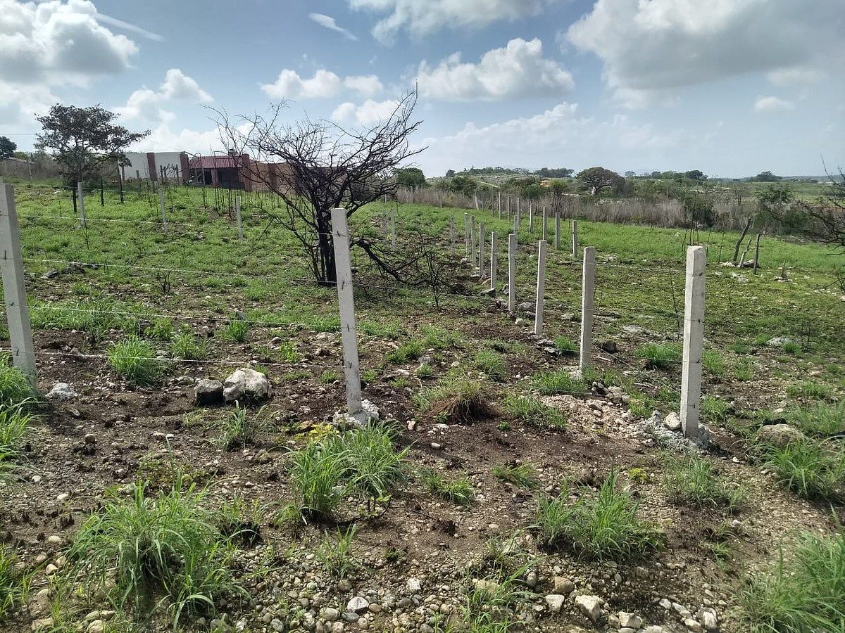 Lote em Bugambilias, Berriozábal, foto 16 de 17