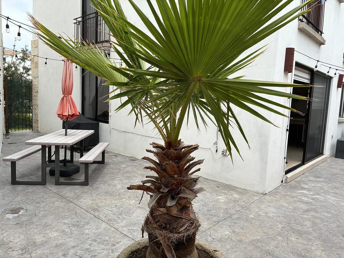 Casa em condomínio fechado em Residencial el Refugio, Querétaro, foto 9 de 31