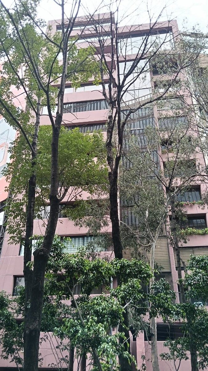 EXELENTE DEPARTAMENTO EN DOS NIVELES  IDEAL PARA EJECUTIVIOS , DIPLOMATICOS, foto 1 de 29