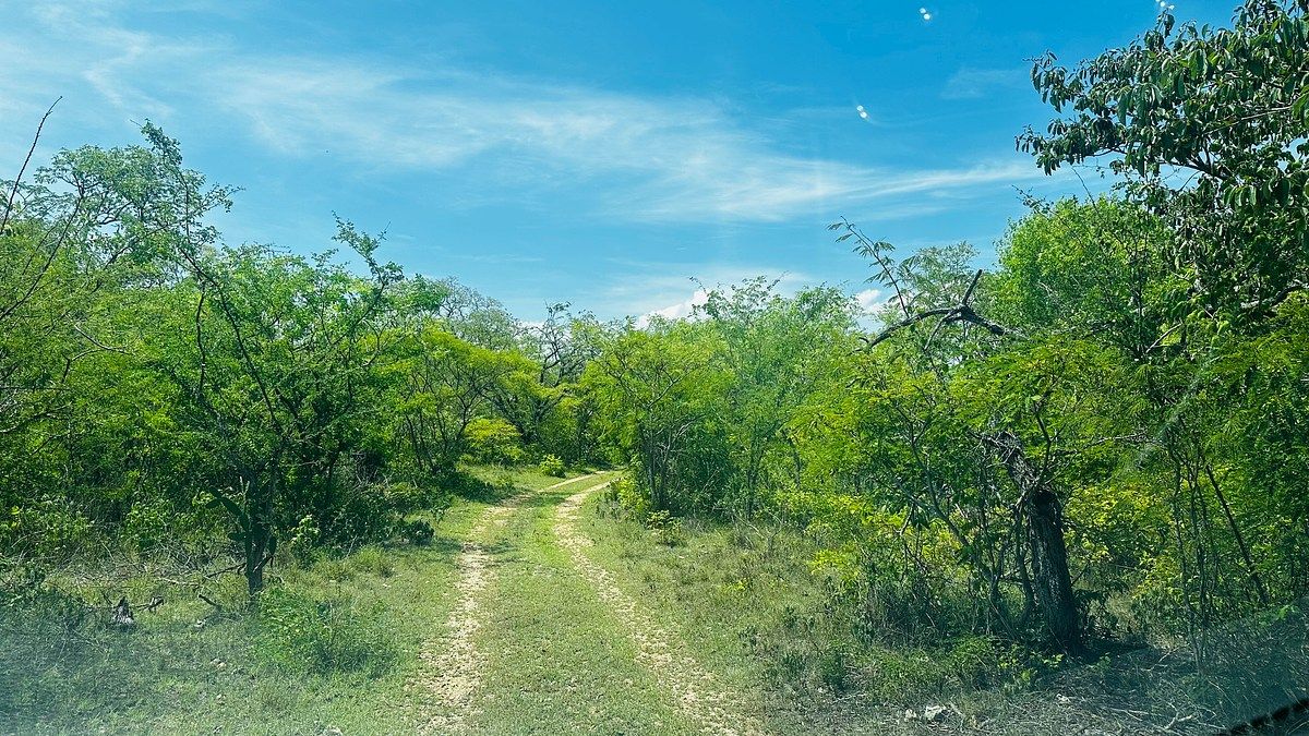Se VENDE terreno por hectárea (en total 29 hectáreas) en El Jobo, foto 1 de 15