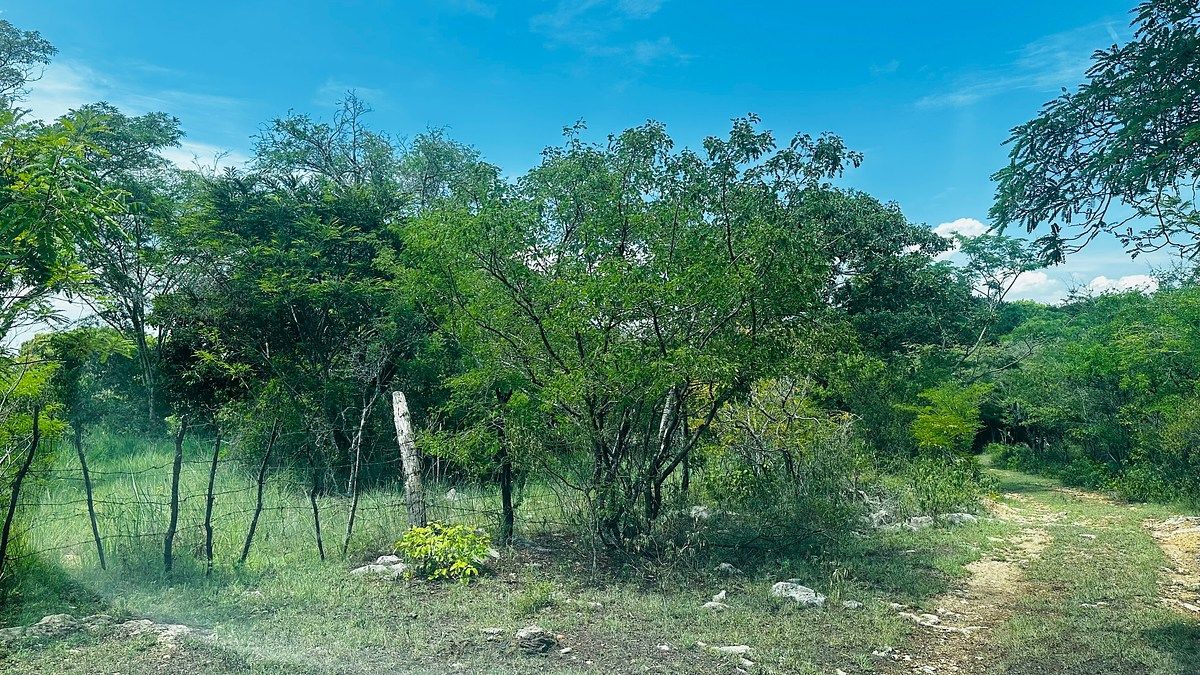 Terreno en El Jobo, Tuxtla Gutiérrez, foto 4 de 15