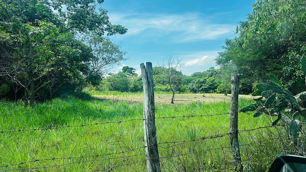 Terreno en El Jobo, Tuxtla Gutiérrez, foto 5 de 15