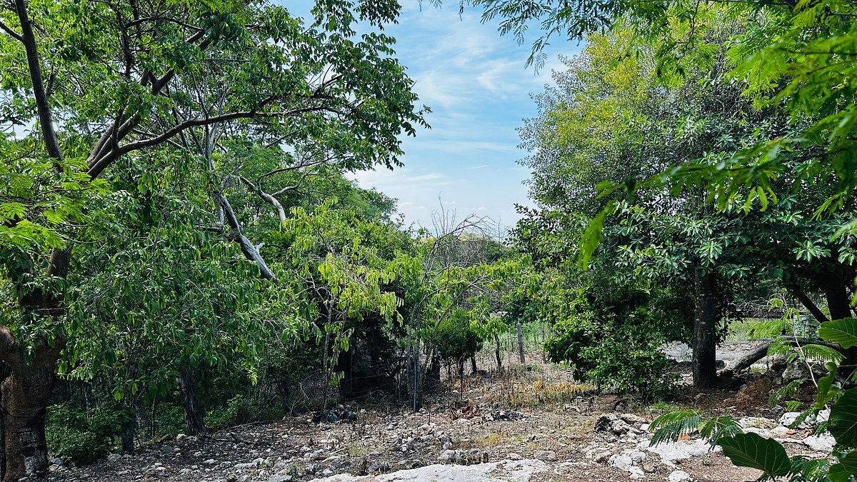 Terreno en El Jobo, Tuxtla Gutiérrez, foto 10 de 15