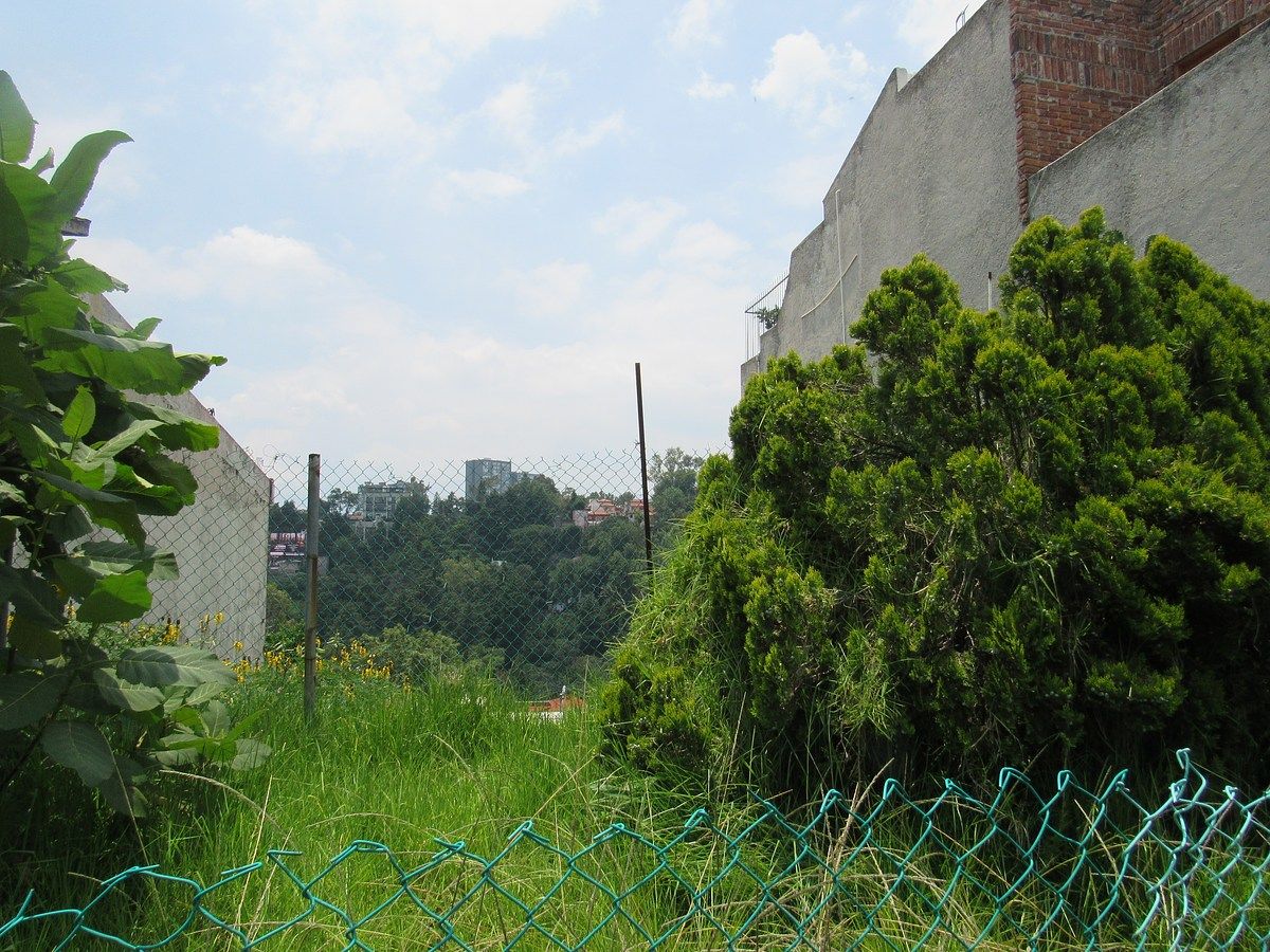 Terreno en Fracc Loma de Guadalupe Tips Inmobiliarios ®, foto 1 de 5