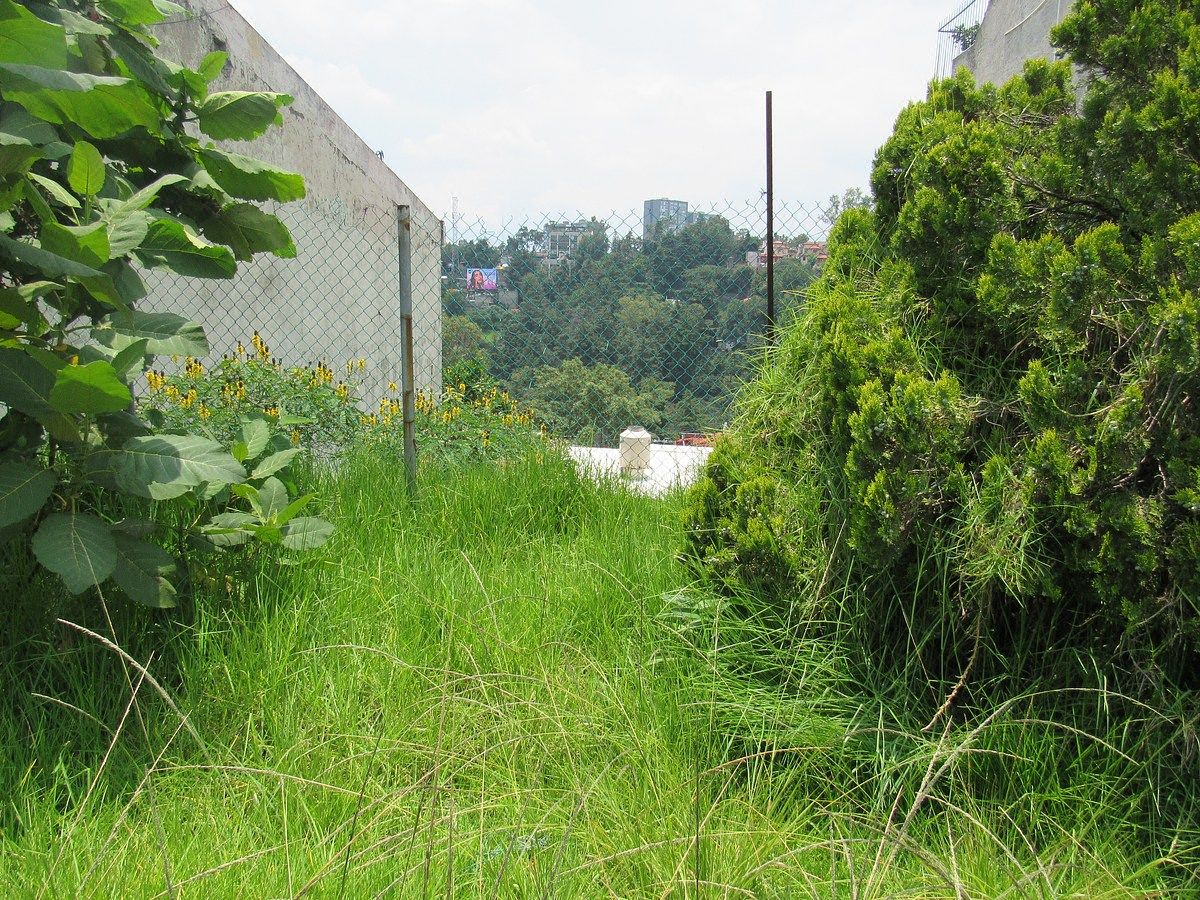 Terreno en Fracc Loma de Guadalupe Tips Inmobiliarios ®, foto 3 de 5