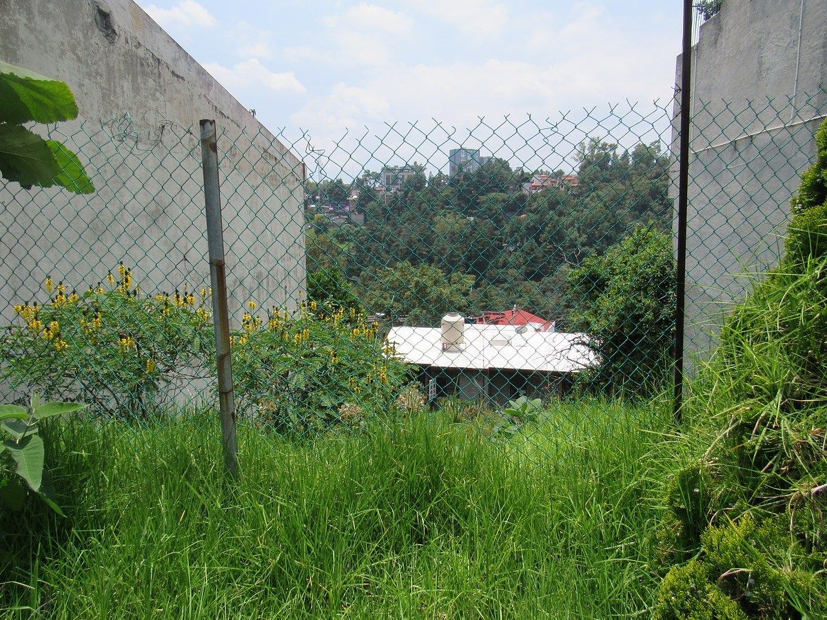 Terreno en Fracc Loma de Guadalupe Tips Inmobiliarios ®, foto 5 de 5