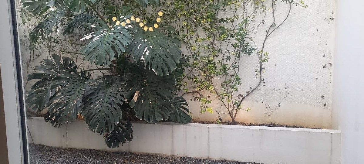 Casa en Contry Sur, Monterrey, foto 32 de 33
