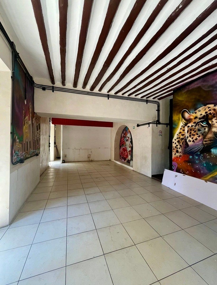 Retail Space in Mérida Centro, Mérida, photo 4 of 6