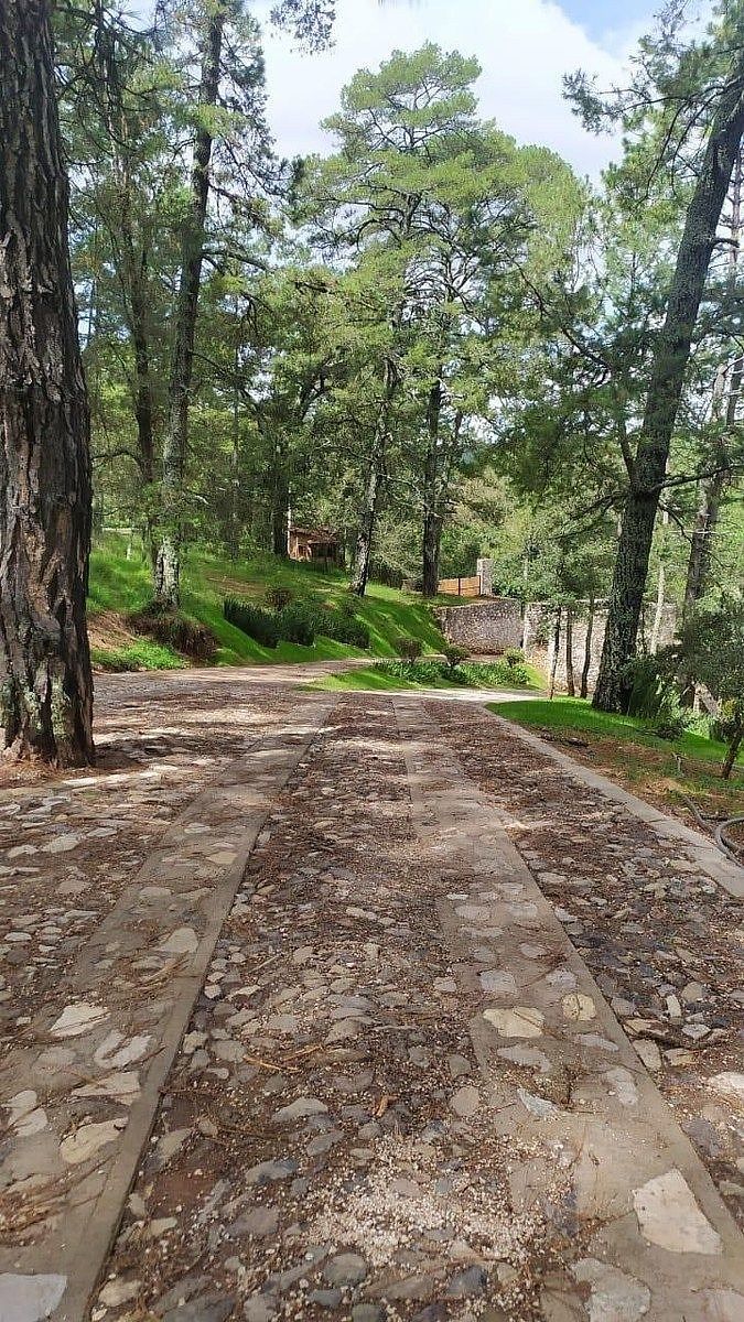 Terreno en Tapalpa, Cardo Santo, foto 10 de 17