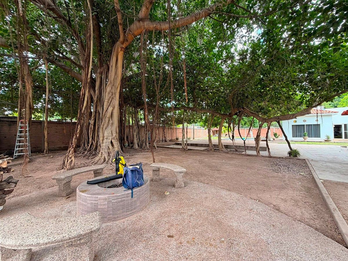 Casa en El Fuerte, El Fuerte, foto 14 de 19