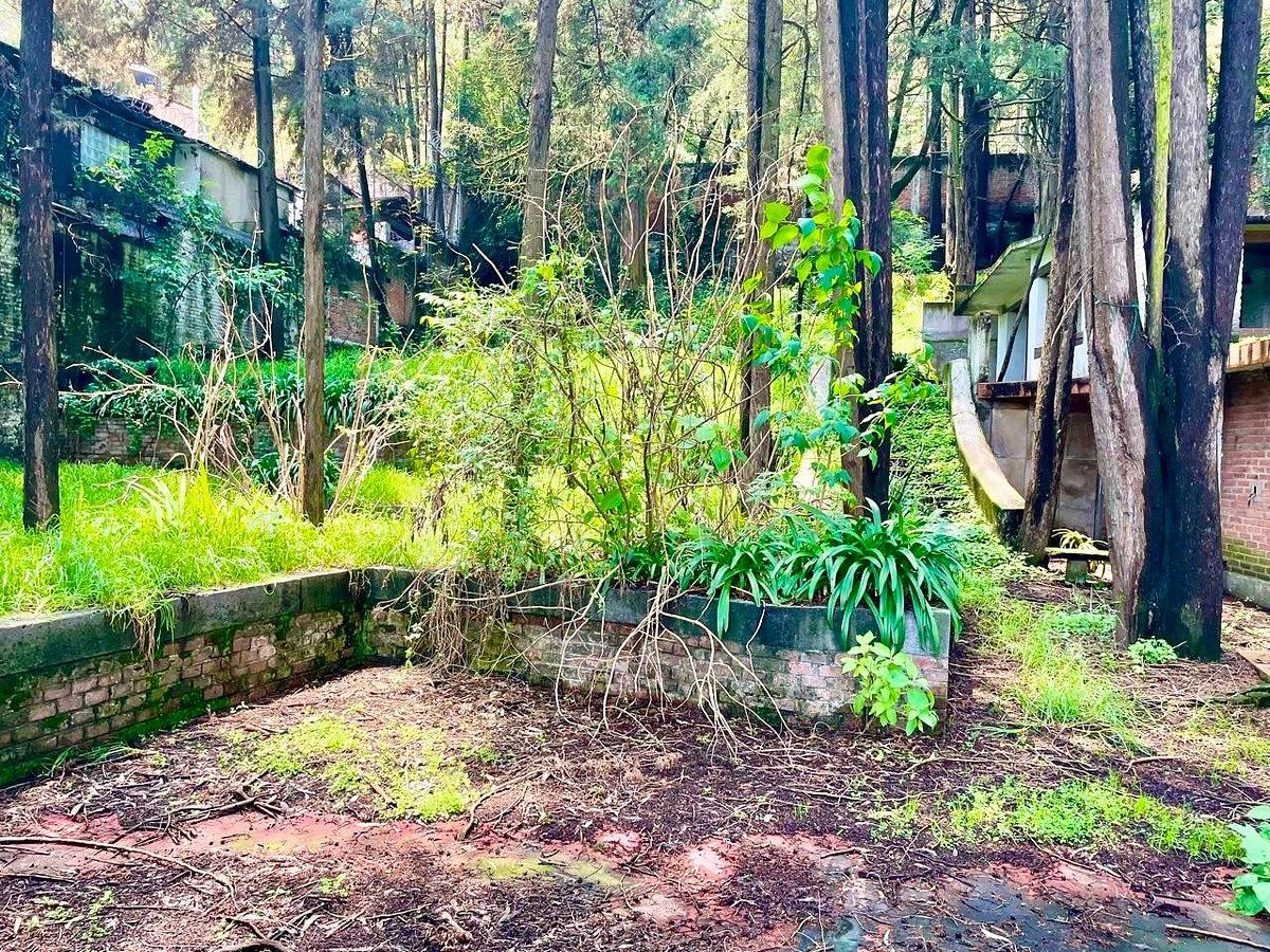 TERRENO À VENDA NO DESIERTO DE LOS LEONES SAN BARTOLO AMEYALCO, foto 1 de 8