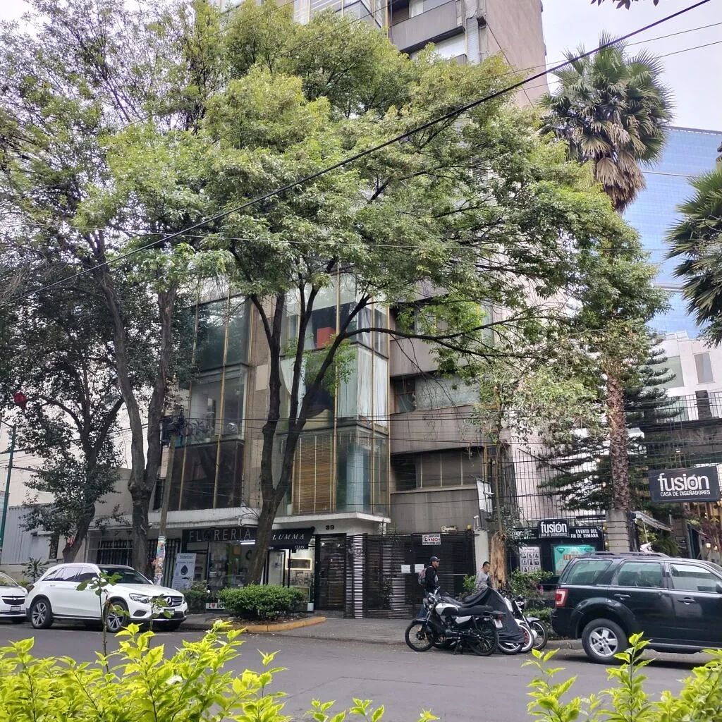 Departamento para Aluguel na Col. Juárez, Cidade do México | Perto de P de Reforma, foto 1 de 19