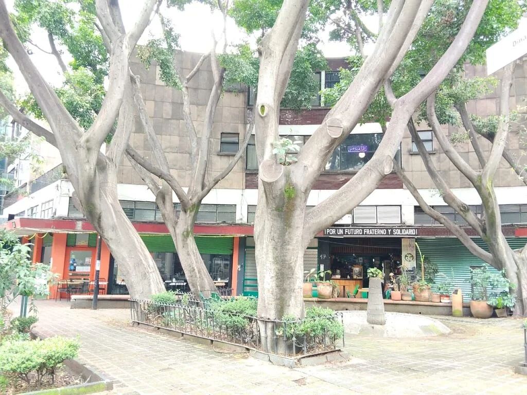 Apartamento em Juárez, Cuauhtémoc, foto 2 de 19