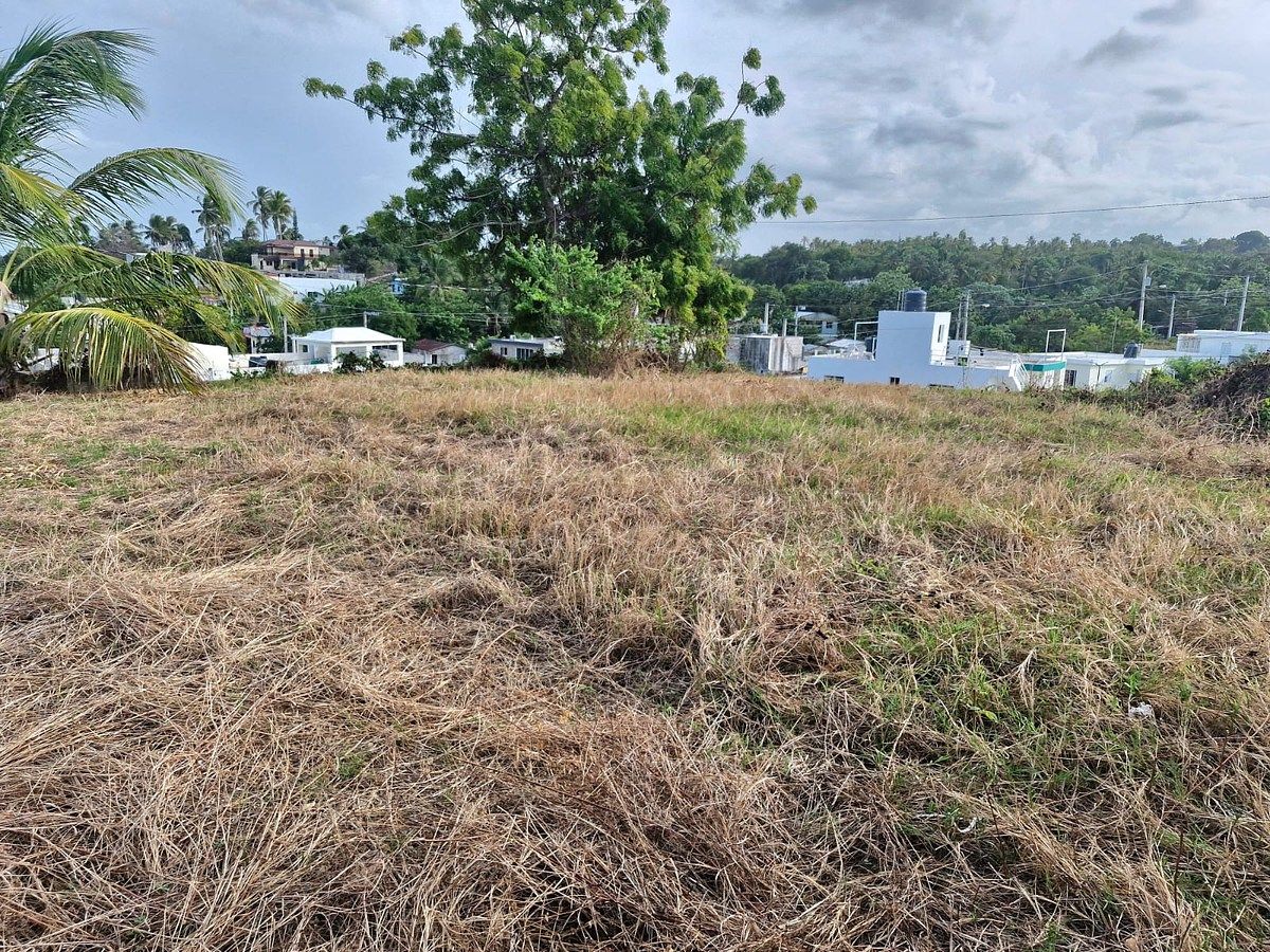 Terreno en Nagua, foto 4 de 12