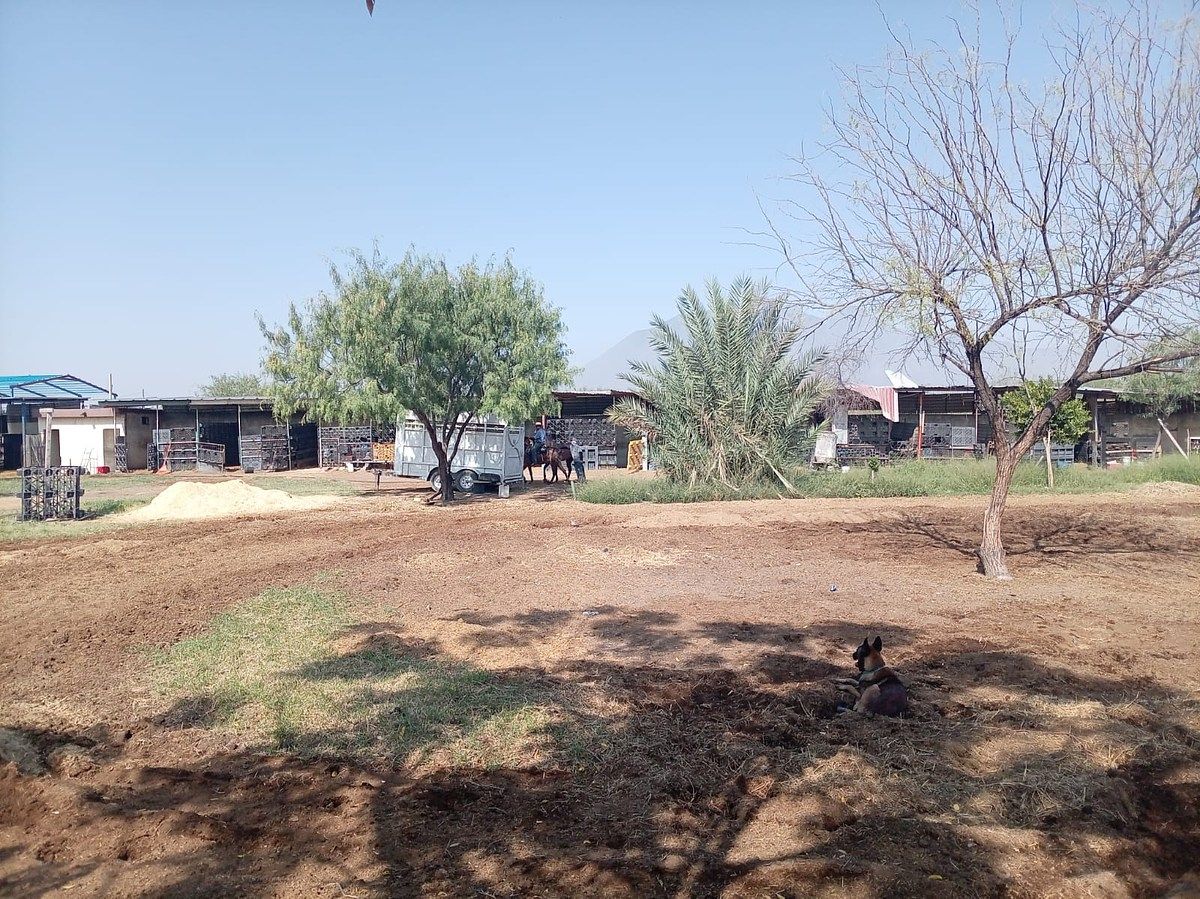 Country House in Laderas de San Miguel, General Escobedo, photo 9 of 10